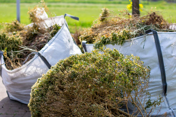 Best Basement Cleanout Services  in Johnston, SC